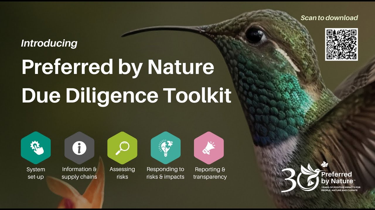 Irs Toolkit Due Diligence Irs Toolkit Due Diligence