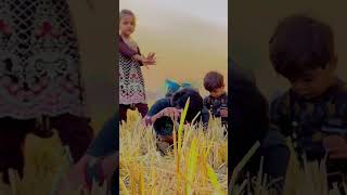 Village photographer Cannon user 5d mark iii #kidsfashion #kidsmodels