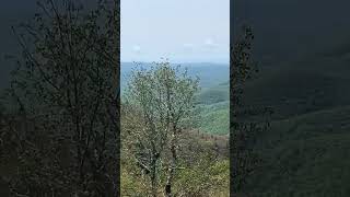 😱 The Dark Legend of Devil’s Courthouse | Blue Ridge Mystery 👣