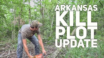 Creating Food Plots In Timber - Kill Plot Update  S8 #21
