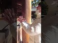 【八方塞がりの方必見！】八方除ができる寒川神社 #開運 #木下レオン #厄除け