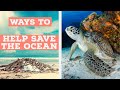 How to Save the Ocean