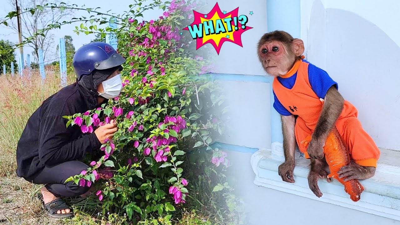 Mysterious Stranger! SU Faces Unexpected Situation When Home Alone!