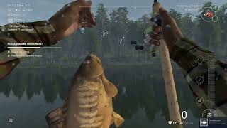 Какой симулятор рыбалки лучше? screenshot 5