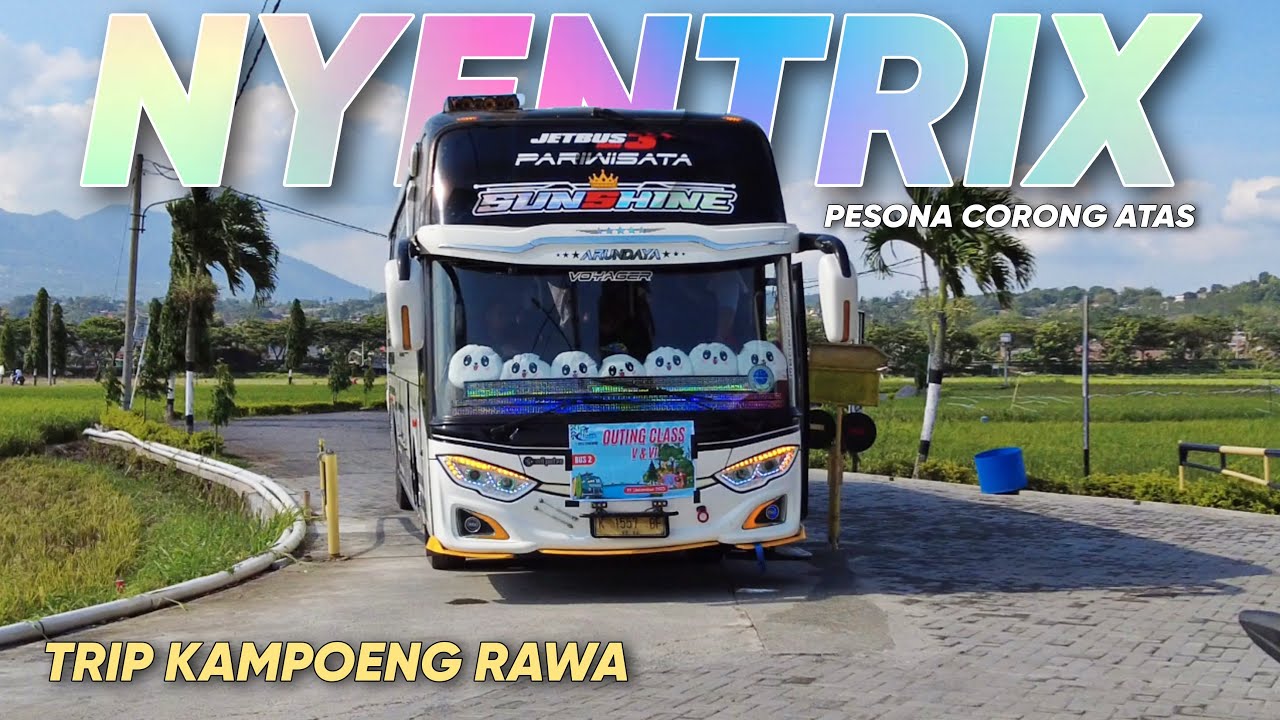 TREND BASURI KEBALIK SAMPAI SHOLAWATAN 🎯 NGOYOD NYENTRIK FULL BASURI