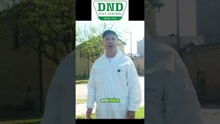 Aurora's Best Pest Control  Bed Bugs, Ants &amp; More!