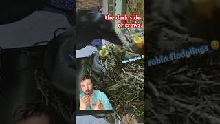 Famous why i don’t like crows Net Worth