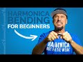 How To Bend a Note on Harmonica for Beginners