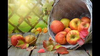 10 Interesting Facts about APPLES