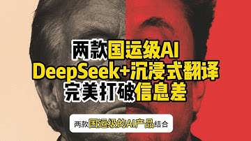 超级懂中国人的翻译工具，搭配DeepSeek完美打破信息差