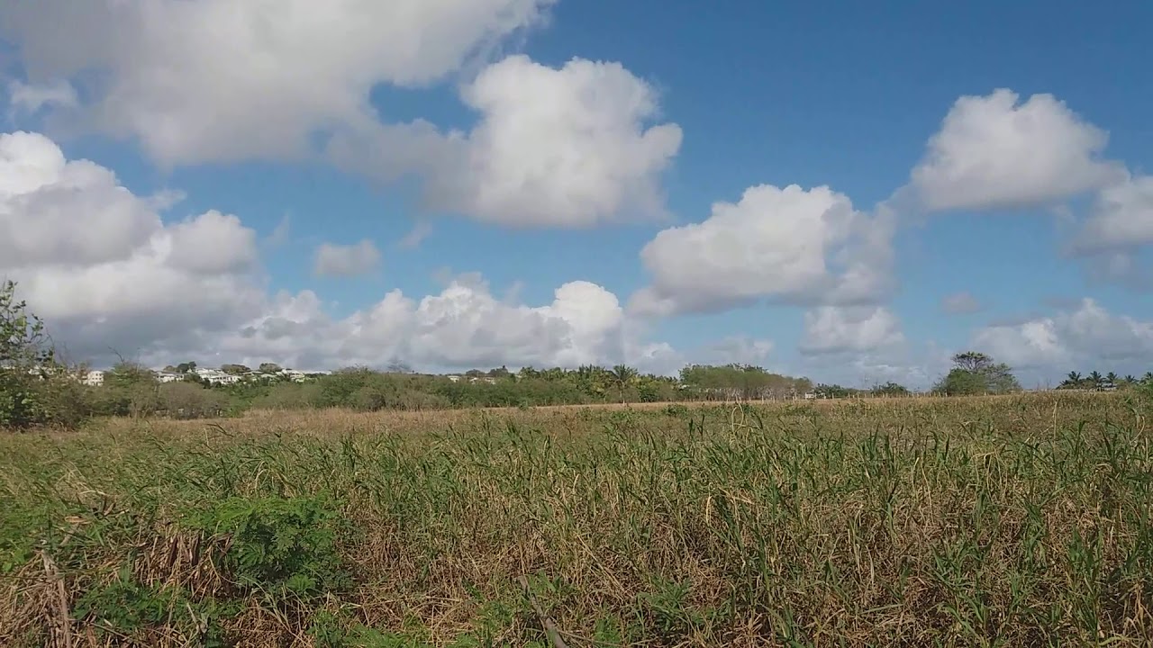 Lot 1 Ealing Grove with house For Sale YouTube