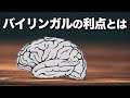 バイリンガルの脳は特別なのか？（大人になってからの勉強は手遅れ？）｜バイリンガルの謎