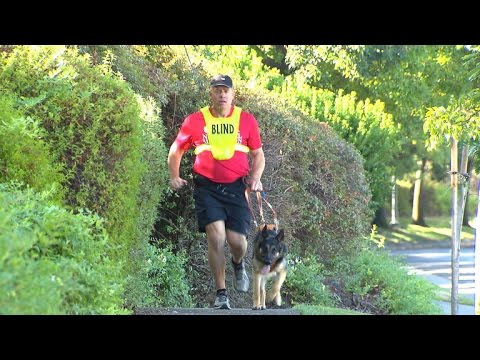 Video: Första seende ögonhund utbildad för att köra maraton Gnister nytt program för blindlöpare