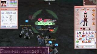 flyff 75 AOE Knight