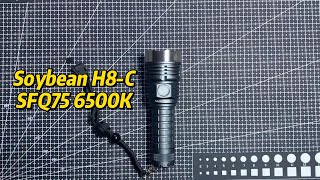 Soybean H8 C SFQ75 6500K 黄豆H8C手电产品体验
