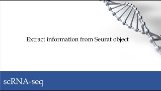 scRNA-seq: Extract information from Seurat object