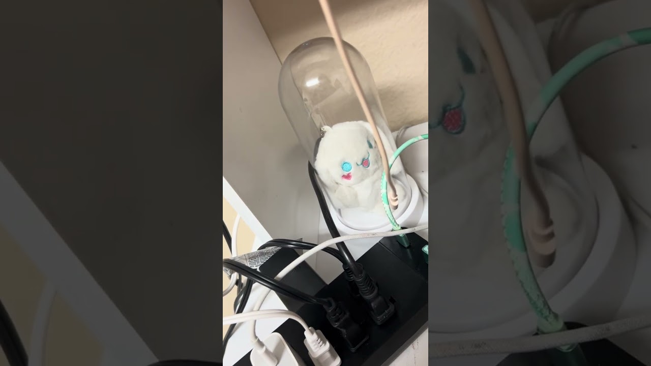 Cleaning off my desk 