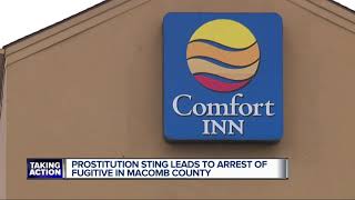 Prostitution sting leads to arrest of fugitive in Macomb County