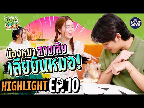 [Highlight EP.10] อมอร์หมาจิ๋ว เชื่อฟังพี่เอวาคนเดียวน้า | Pet Lab | One Playground