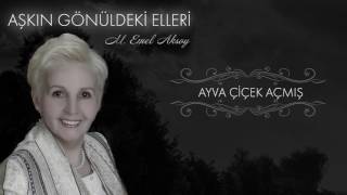 M. Emel Aksoy - Ayva Çiçek Açmış  Resimi