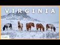 Virginia&rsquo;s Hidden World | Where Shifting Land Meets Enduring Structures