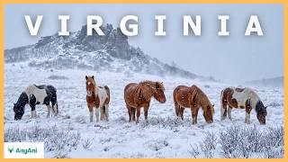 Virginia’s Hidden World | Where Shifting Land Meets Enduring Structures