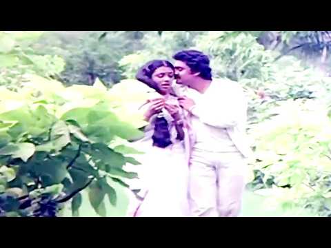 നിൻ്റെ ശരീരത്തിലൊന്ന് തൊടണമെങ്കിൽ നിൻ്റെ ചേട്ടന്റെ അനുവാദം വേണോ ! Hello Madras Girl Movie Scene