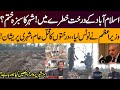 Tree Massacre in Islamabad | Prime Minister Takes Notice | Pakistan News