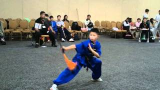 WinWin Kung Fu: ICMAC WASHINGTON 2010