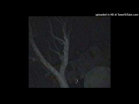 Greaf - Just Leave Me Here