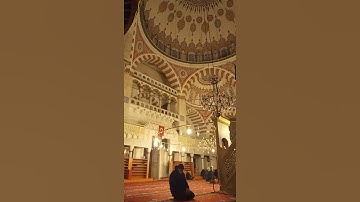 ما تيسر من سورة الحشر •{20}•