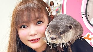 カワウソ飼おうかな…