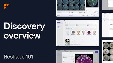 Reshape 101 – Discovery Overview