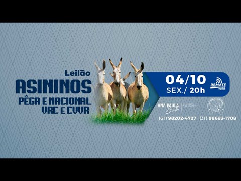 Lote 07    VIENA PONTAL VR   161 zap