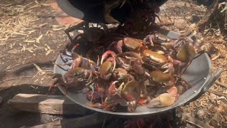 Cooking Failed Mukbang Crabs