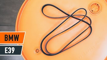 Hvordan bytte multireim der på BMW E39 Touring[AUTODOC-VIDEOLEKSJONER]