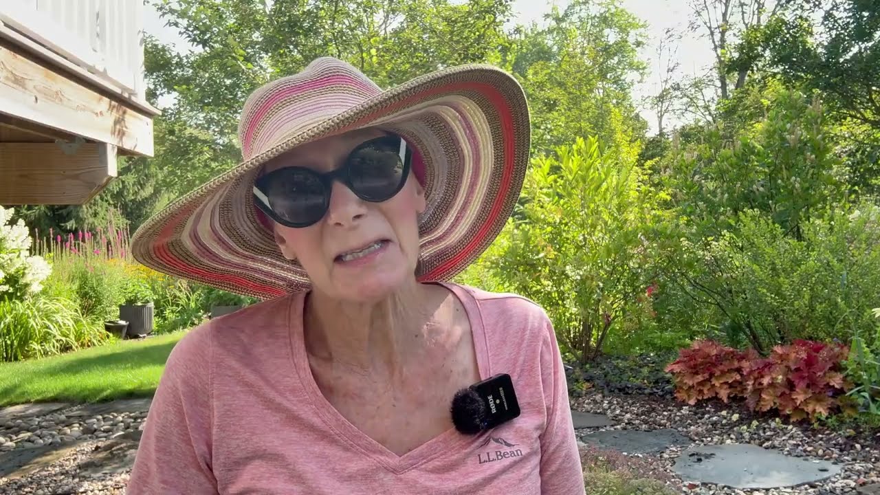 August Garden 🪴 🌻Tour - The Good, Bad and Ugly!