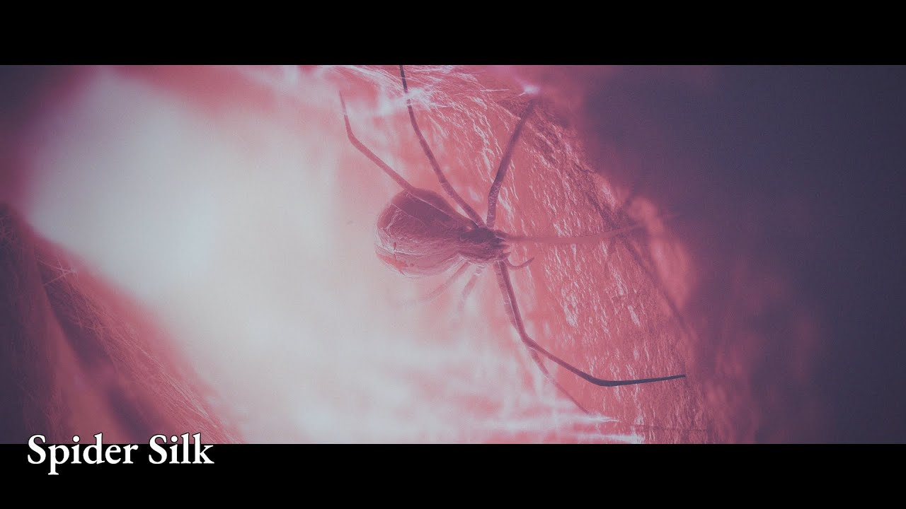 Watch Nightwish - Spider Silk (OFFICIAL LYRIC VIDEO) on YouTube
