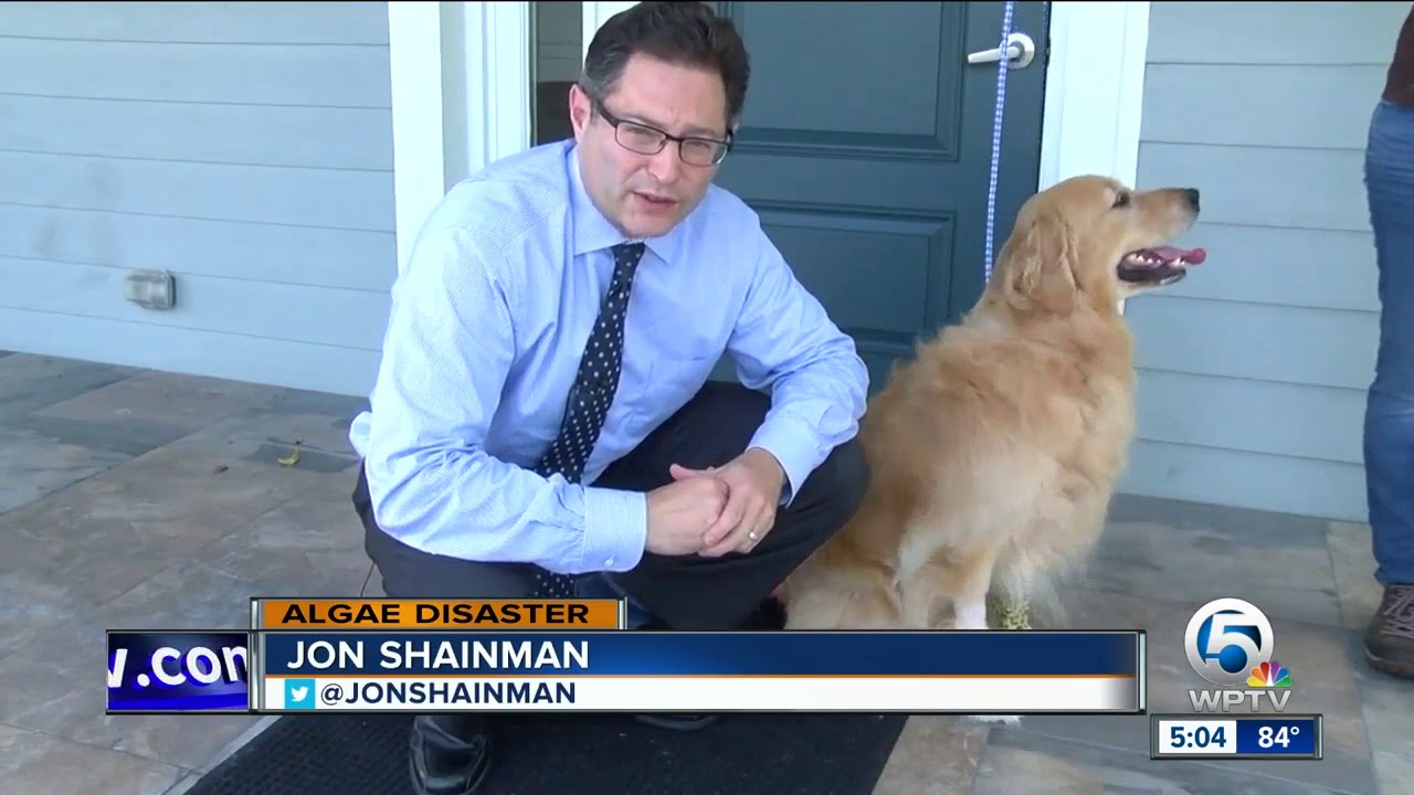 Dog owners worry exposure to algae making pets sick; no study to link algae exposure with illness