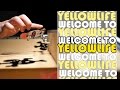 Yellowood Welcomes Martin Beckmann