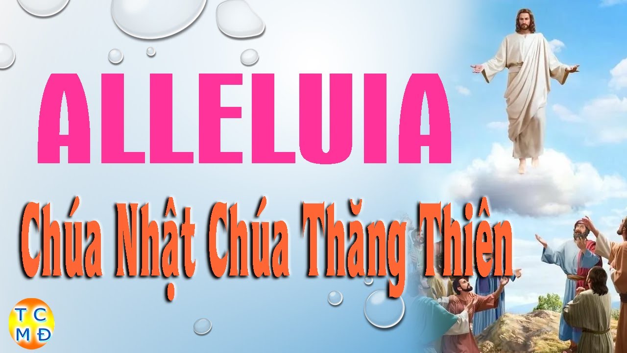 alleluia-ch-a-nh-t-l-ch-a-th-ng-thi-n-lm-kim-long-youtube