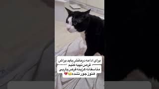                  - اسمعها
