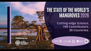 State of the World's Mangroves 2026 Launch Webinar