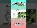 ပန်းဂေါ်ဖီစိမ်း ရဲ့အကျိုးကျေးဇူး #shortsfeed #shorts #short #shortvideo #trending #trend