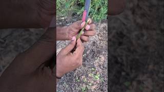 Stylus pen 🤯 #homemade #funny ##shorts