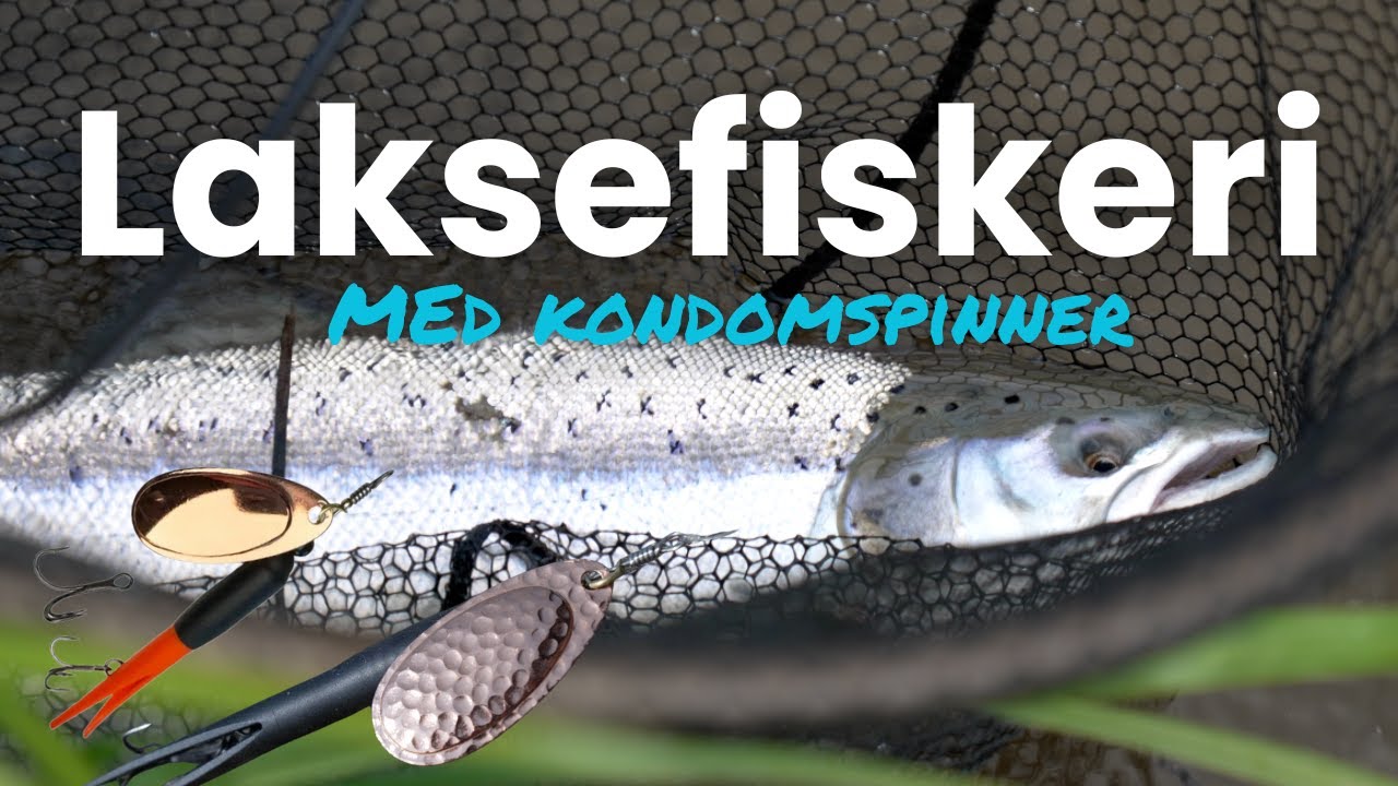 Laksefiskeri Med Kondomspinner - SÅDAN GØR DU!