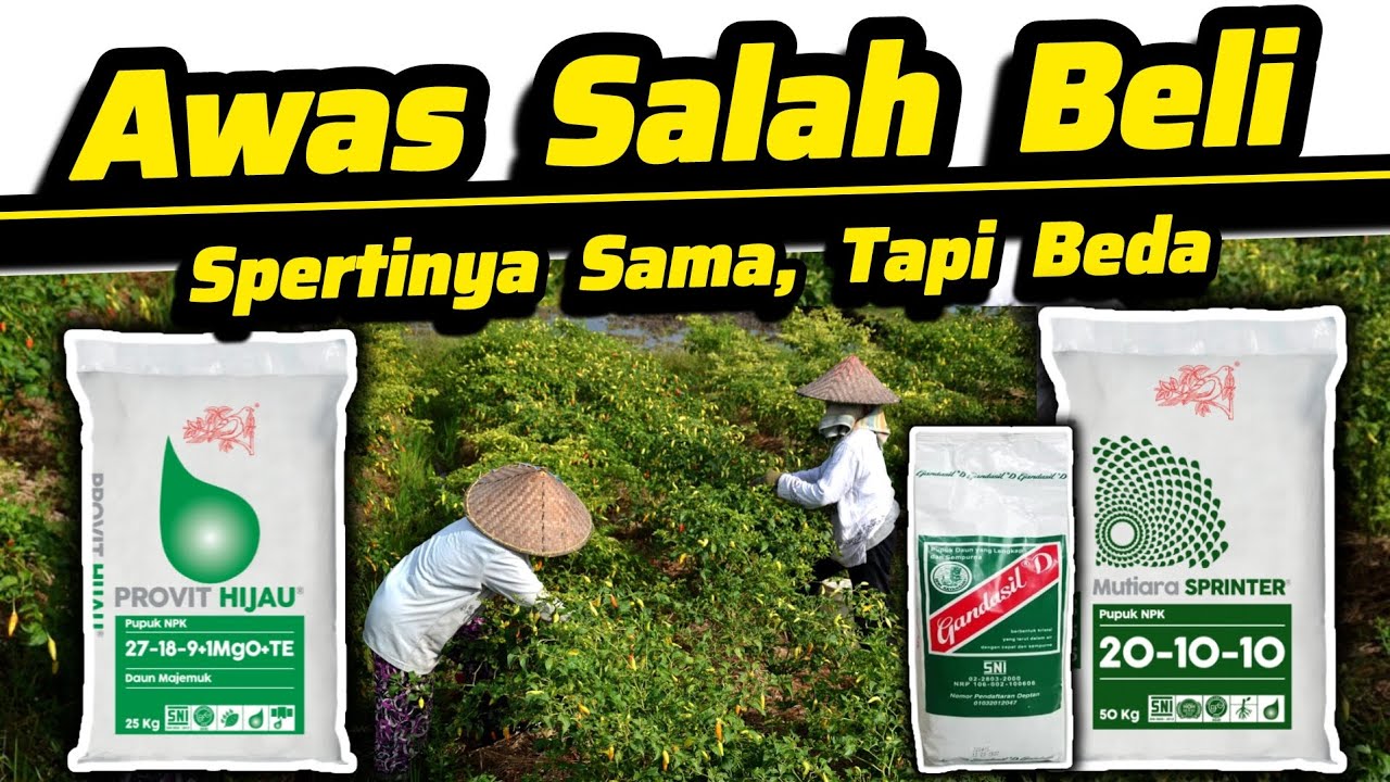 ‼️Awas Salah Beli‼️Perbedaan Antara Pupuk Fase vegetatif Provit Hijau, NPK Sprinter, Gandasil D ‼️‼️