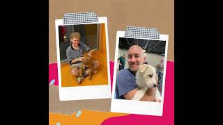 Meet Some Of The Helping Hearts Of Hphh - Our Volunteers