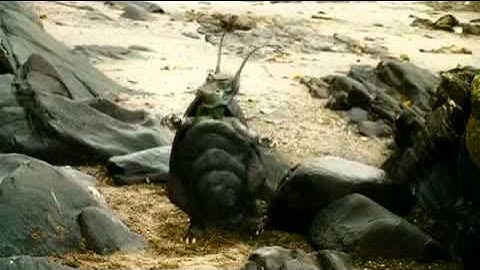 Five Children and It - Trailer