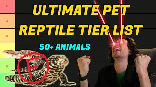 Ranking Top Pet Reptiles - Pet Reptiles for Beginners and More (Reptile Tier List)